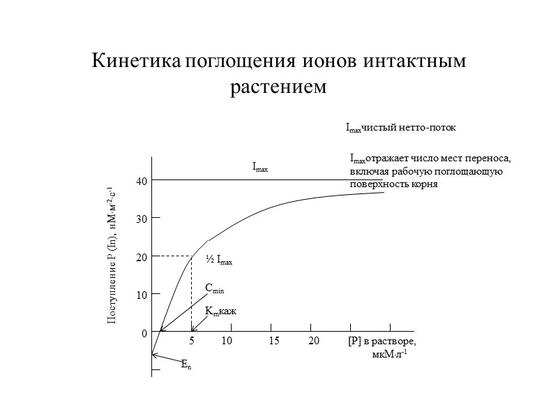 Кинетика поглощения ионов интактным растением 5 10 15 20 [Р] в растворе, мкМл-1 0
